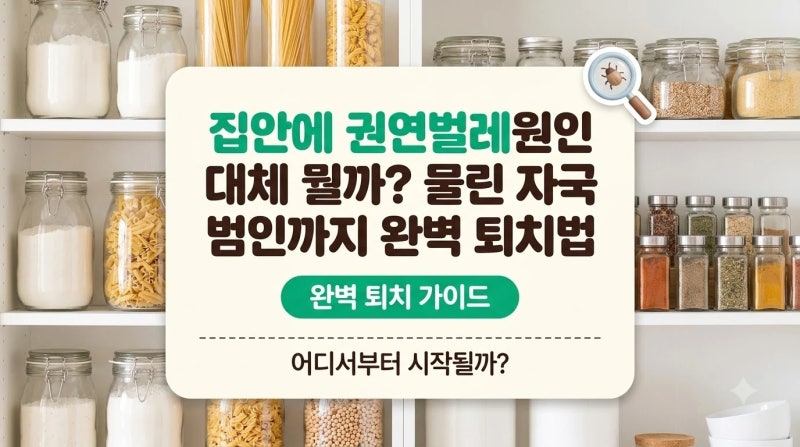 집안에 권연벌레원인 대체 뭘까? 물린 자국 범인까지 완벽 퇴치법