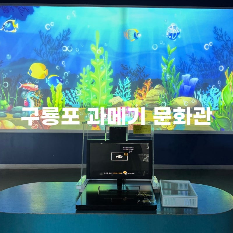 [포항여행] 대구근교 구룡포여행 아이랑 실내 주말 가볼만한곳｜구룡포과메기문화관 (해양....