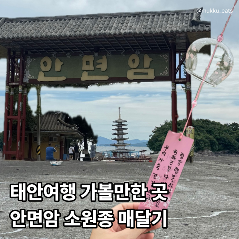 태안 가볼만한곳 안면암 부상탑 소원종 달기 부모님과 다녀온 애견동반 가족 여행