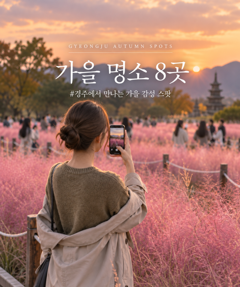 경주 가을 가볼만한곳 8곳 총정리｜핑크뮬리 억새 단풍 은행나무 명소