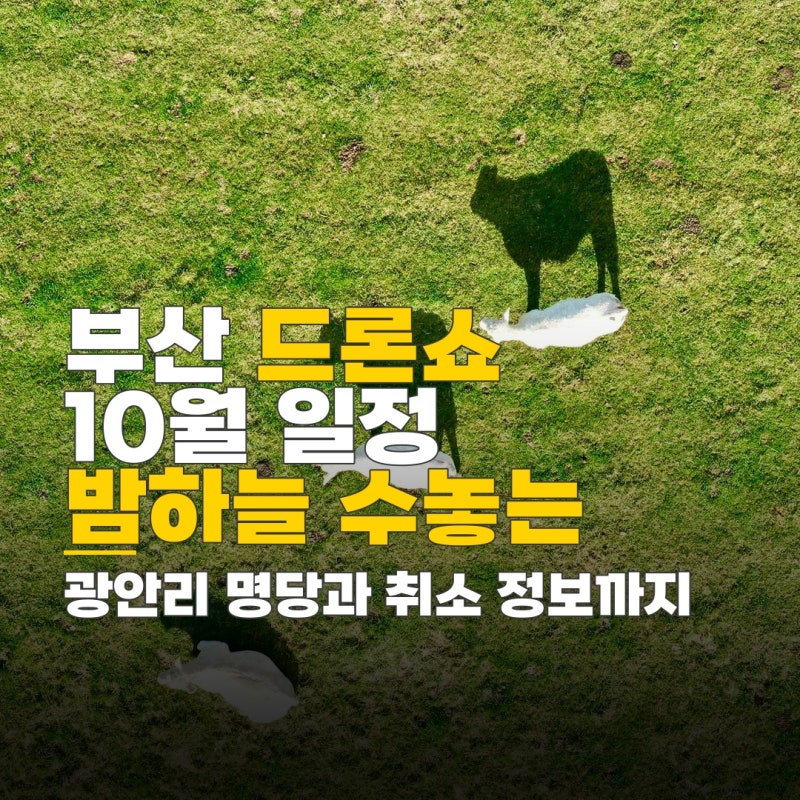 부산 드론쇼 일정 10월, 기상 취소 정보와 명당 관람 팁