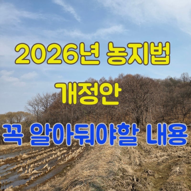 2026년 농지법 개정안, 농지 보유자라면 꼭 알아둬야 할 내용(2월,6월 개정안 총정리)이행강제....