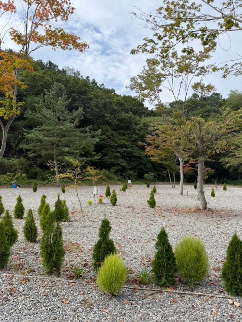 서울 근교 캠핑장 파주 자유로캠핑장 B3 사이트 후기(2026년 9월)