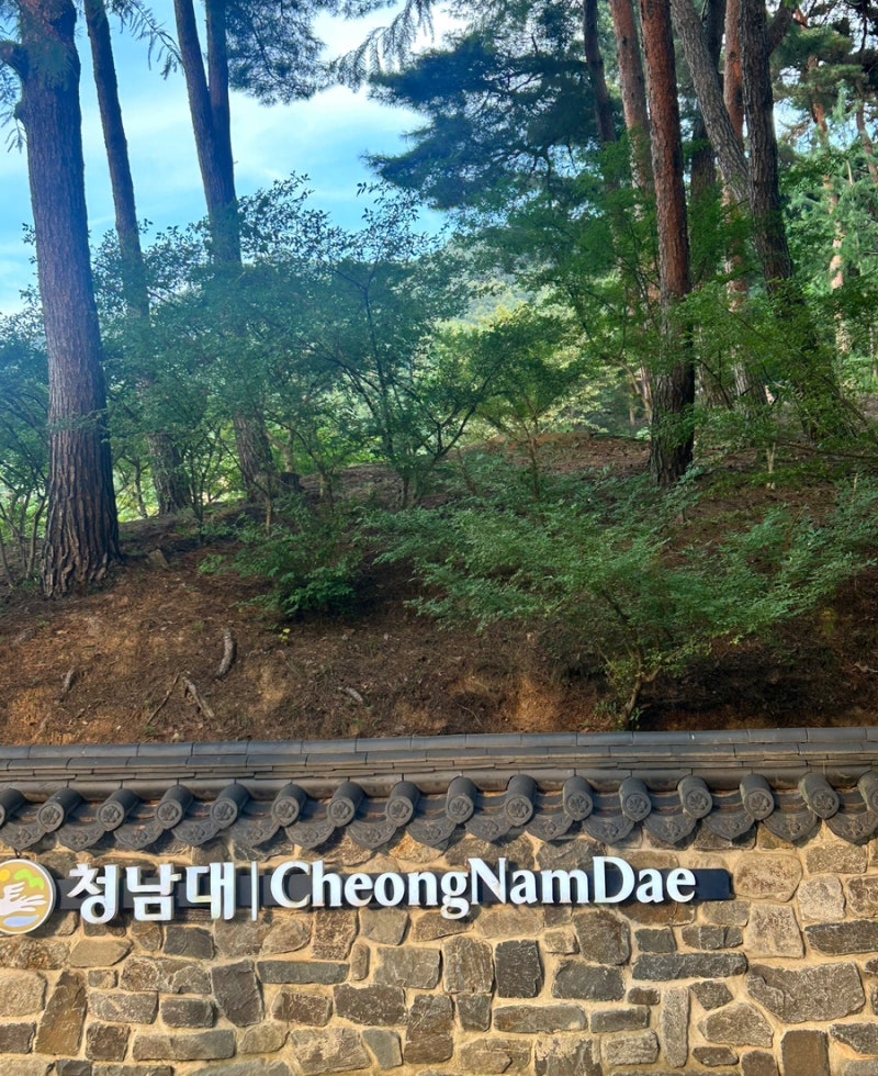 Cheongnamdae Monorail: Honest Review, Riding Tips, Tour Course, and a Visit with Kids