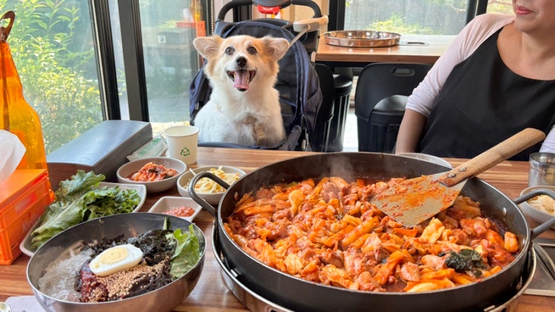 가평남이섬맛집 자연닭갈비 애견동반가능한 주차편한 가평여행필수코스 !