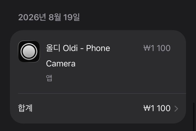 올디(Oldi) 카메라 앱 후기 | 구형 아이폰 감성 그대로, 가격·사용법까지