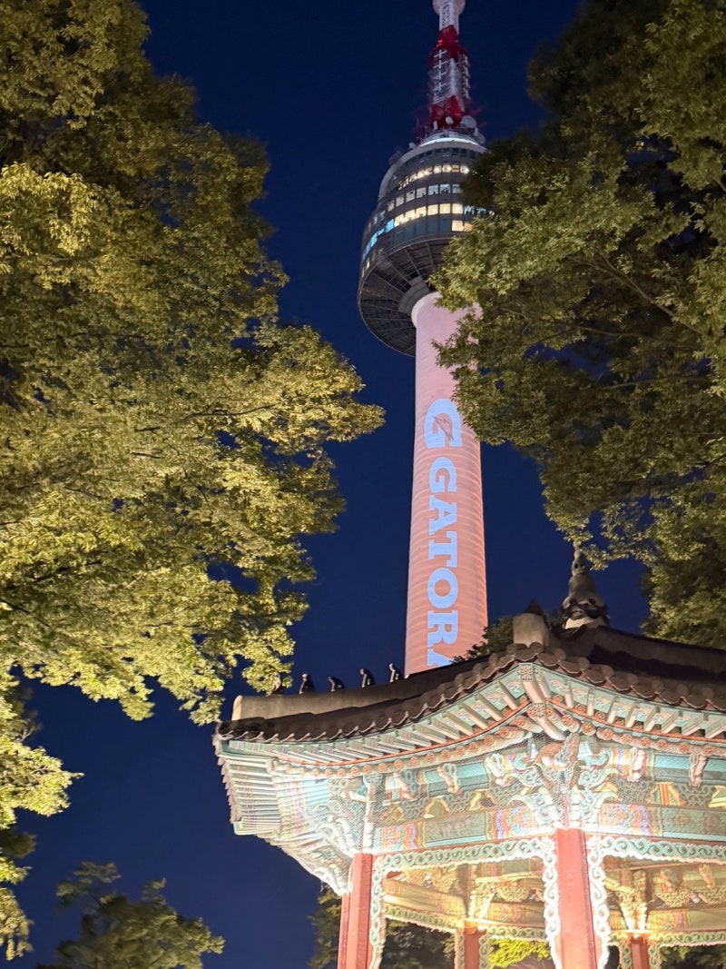 N서울타워 전망대 입장권 이용요금 예매 방법, 남산타워 야경 후기
