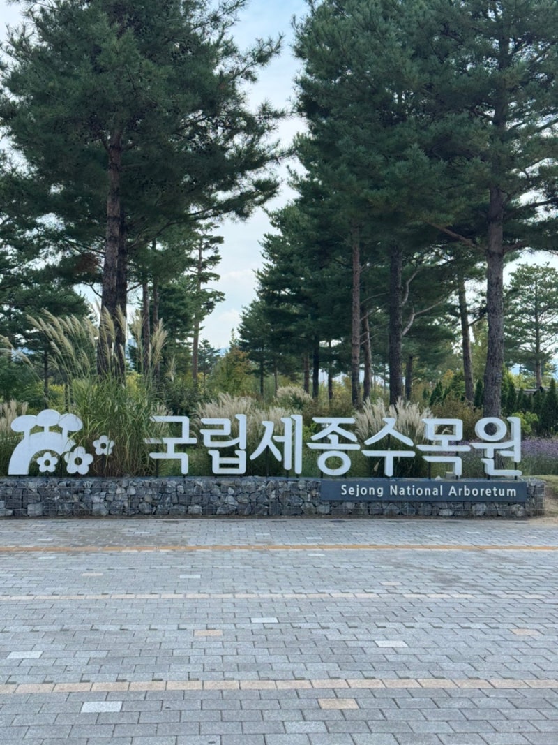 [세종갈만한곳] 아기와 주말 나들이 추천 5개월 아기랑 산책하기 좋은 국립세종수목원 (주차....