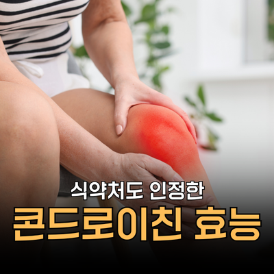관절 영양제 콘드로이친 효능 부작용 먹는시간, 권장량 등 복용법, MSM 차이는?