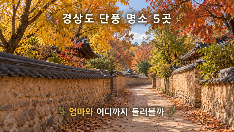 경상도 가을 단풍 명소 5곳｜엄마와 가을 나들이, 어디까지 둘러볼까