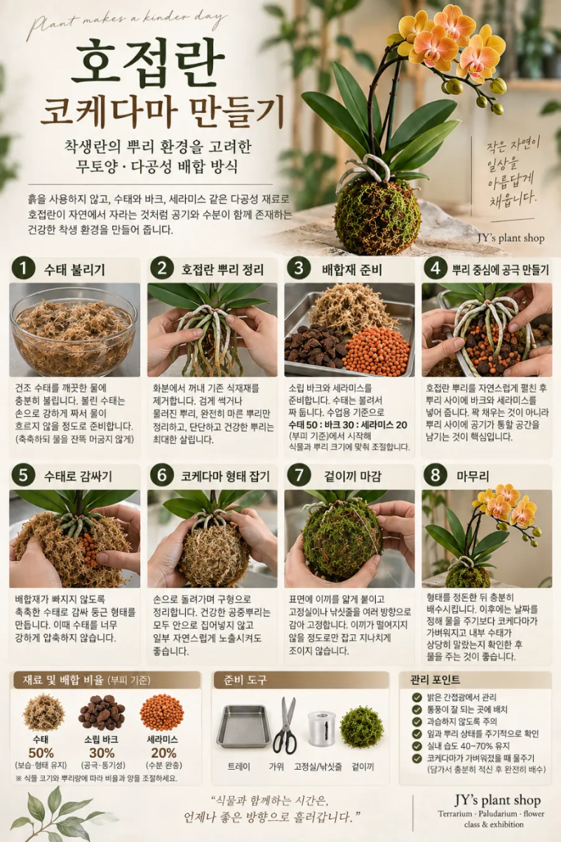 호접란 코케다마 클래스 착생란의 뿌리 환경을 이해하는 코케다마