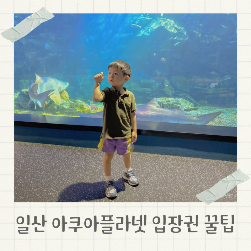 일산 아쿠아플라넷 할인 꿀팁 경기도 아이랑 가볼만한 곳