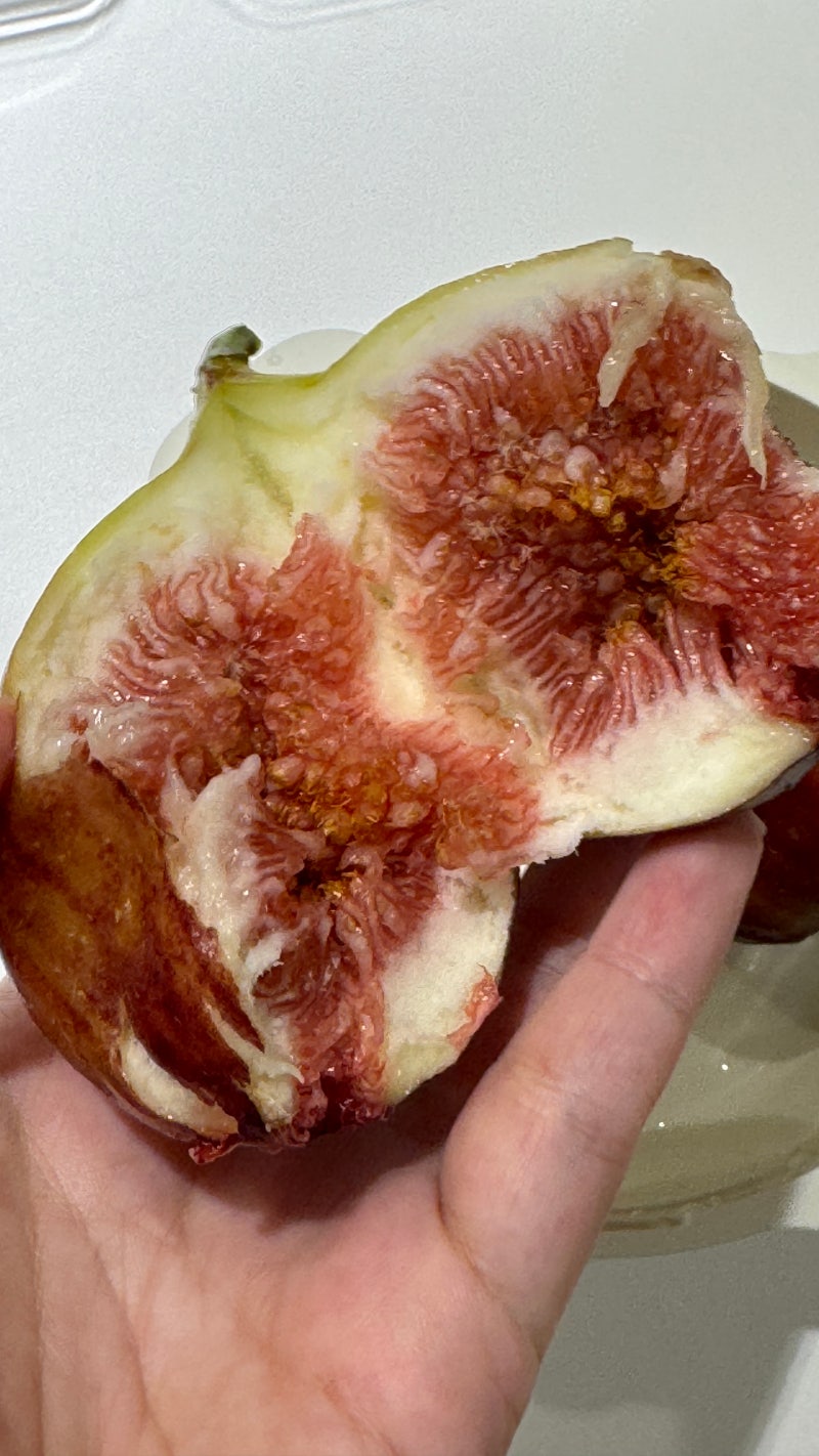 무화과 보관법 실온 냉장 정리 무화과 효능 칼로리 먹는법 부작용 영암 홍무화과 1kg 후기