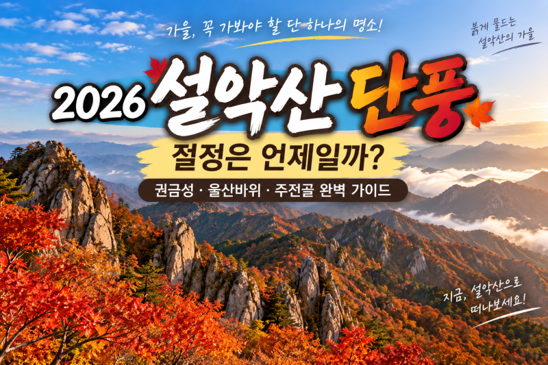 [강원도 설악산 여행] 2026 설악산 단풍시기 완벽 가이드｜권금성 케이블카·울산바위·주전골....