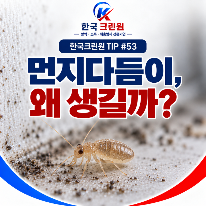 한국크린원 TIP #53 | 먼지다듬이, 왜 자꾸 생길까요?