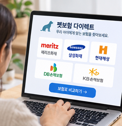 "병원비만 300만 원 나와"... 수의사 친구 조언 듣고 찾아본 펫보험비교사이트