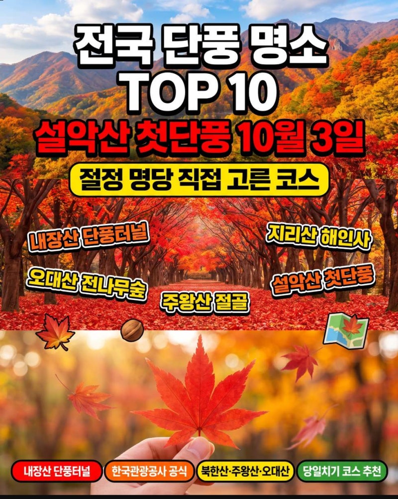 전국 단풍 명소 TOP10 설악산 첫단풍 10월 3일, 절정 명당에서 직접 고른 코스