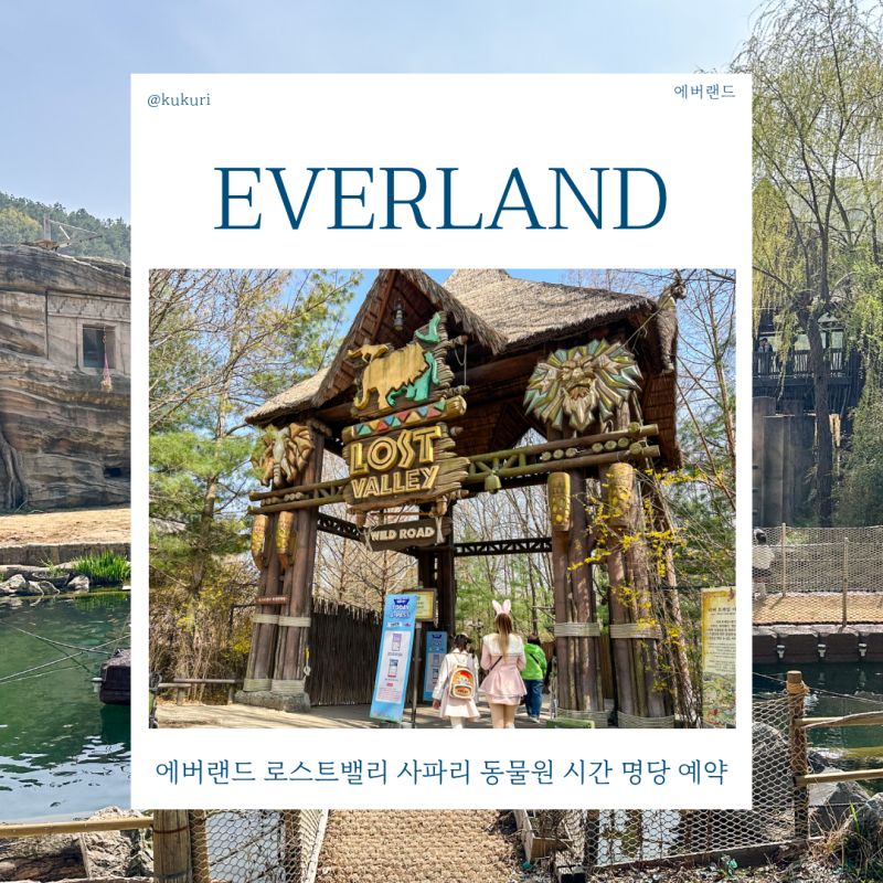 에버랜드 로스트밸리 사파리 동물원 시간 명당 예약 후기