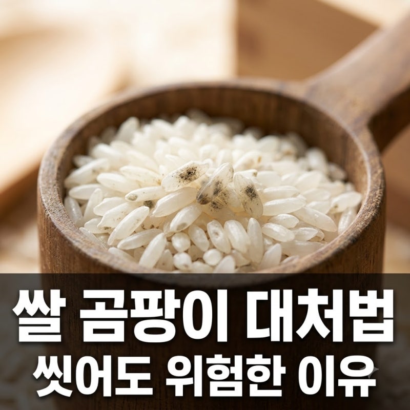 쌀 곰팡이 씻어 먹어도 될까? 구별법과 안전 폐기 보관법 총정리
