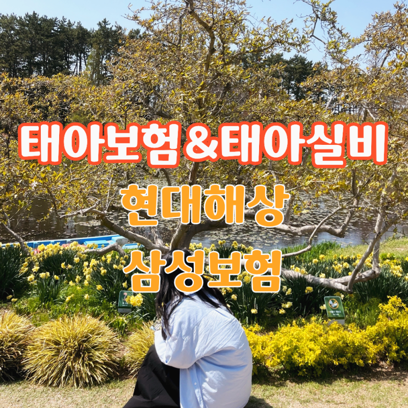 태아보험시기 현대해상과 삼성화재 태아실비까지