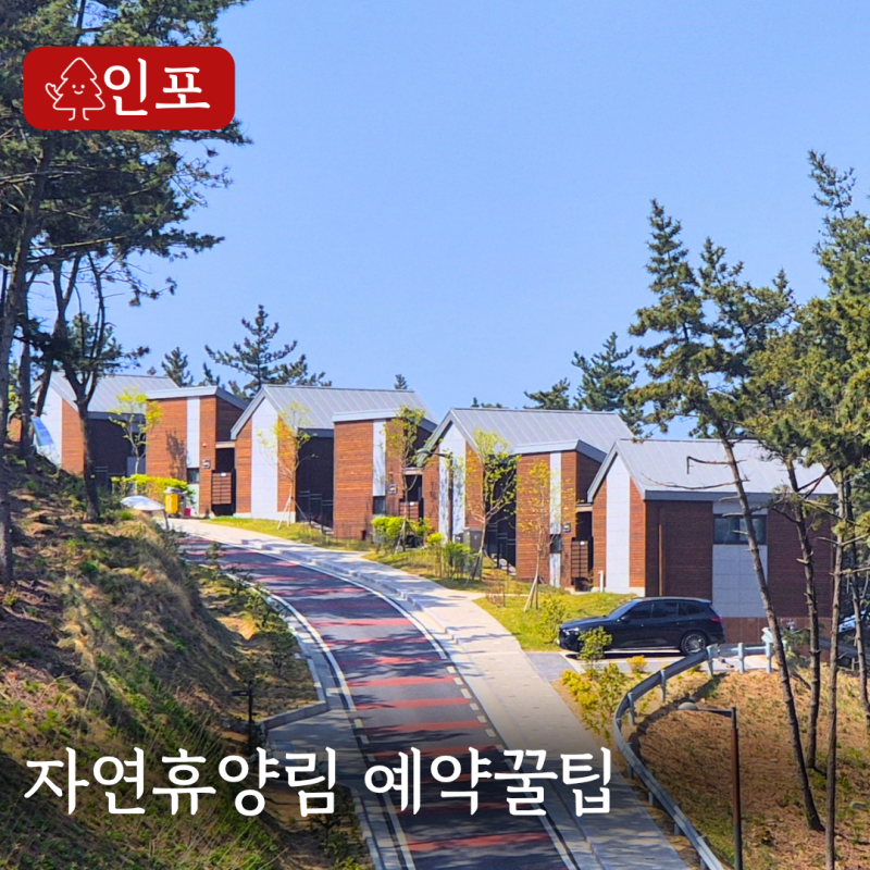 자연휴양림 예약 방법부터 숙소 선택까지, 처음 가는 사람을 위한 가이드