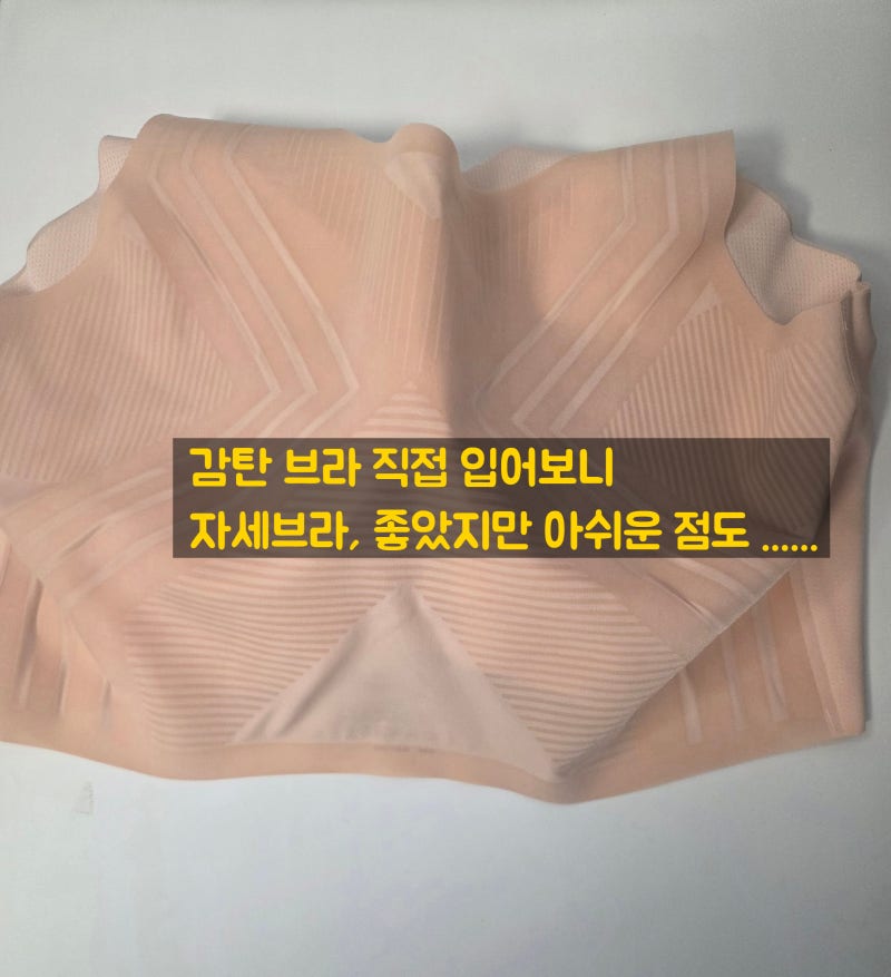 감탄브라 자세브라 후기, 큰컵은 좋았는데 여름 인견쿨은 아쉬웠어요