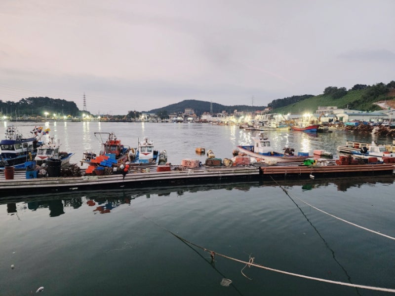 서천 홍원항 가볼만한곳 수산시장 주말 여행 서해안 꽂게 전어 해산물