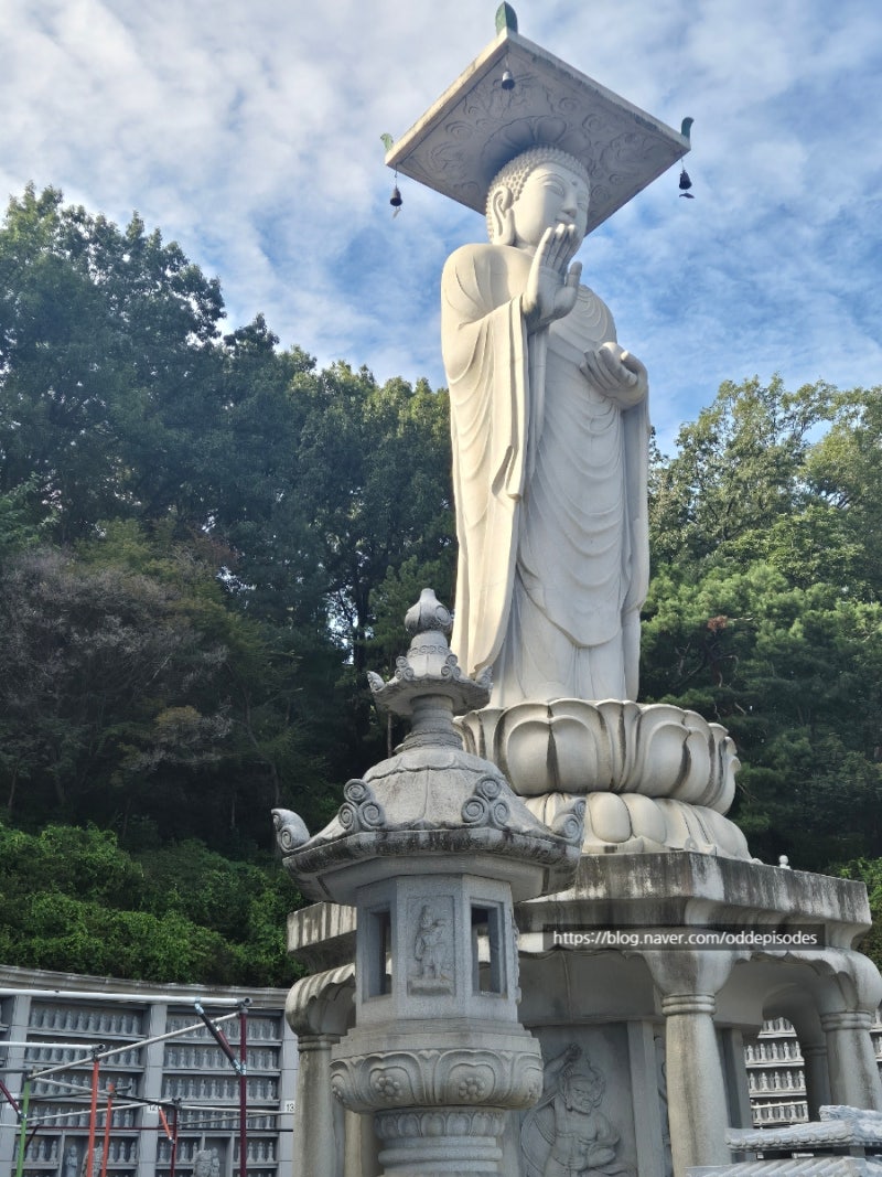서울 재물운 명당 봉은사 방문 후기 비취합장주 염주 팔찌 구매, 품절 대란 공덕 키링 클리커....