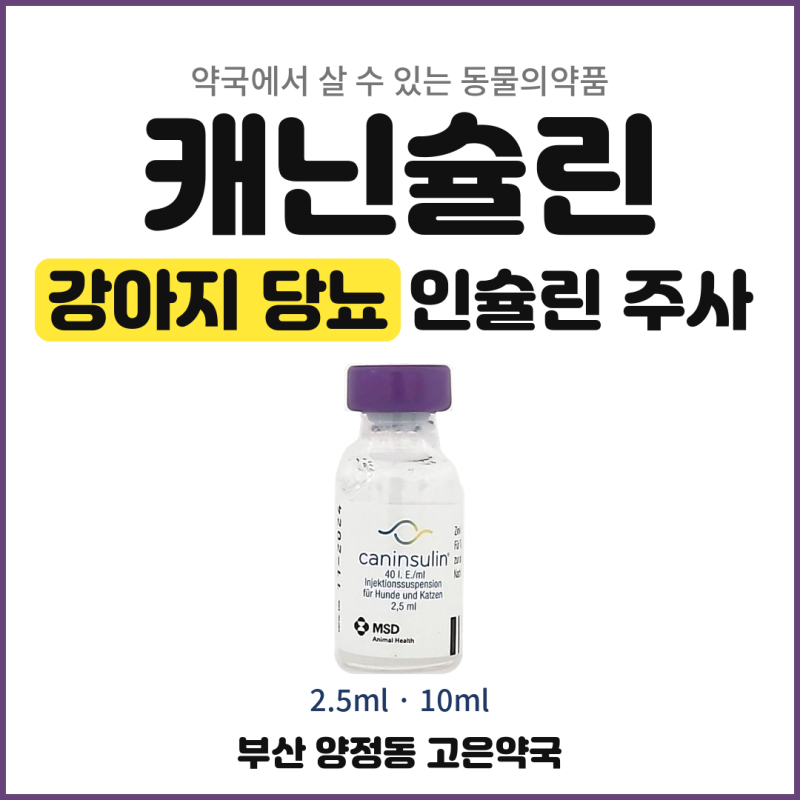 캐닌슐린 2.5ml 10ml, 강아지 당뇨에 쓰는 인슐린 주사