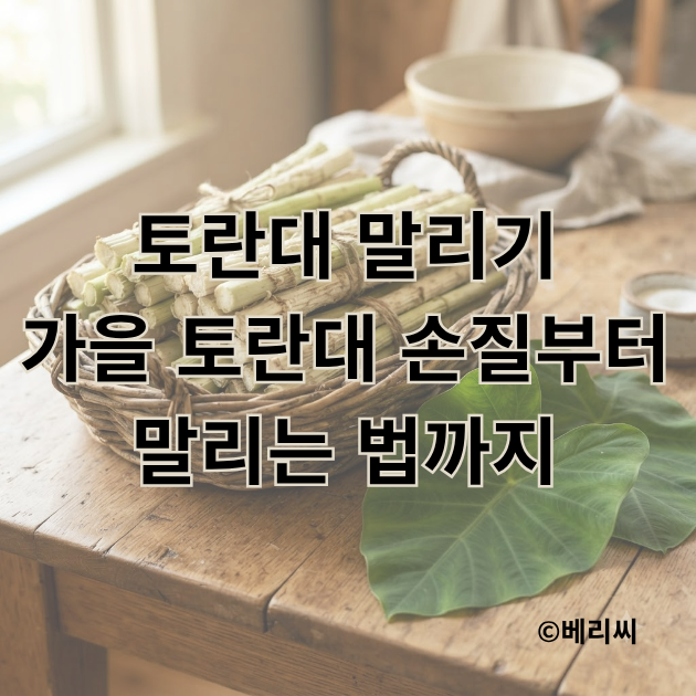 토란대 말리기 가을 토란대 손질부터 말리는 법까지