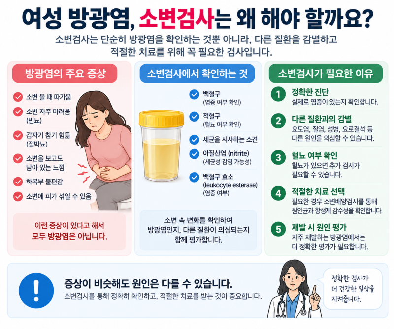 여성 방광염, 소변검사는 왜 해야 할까요?