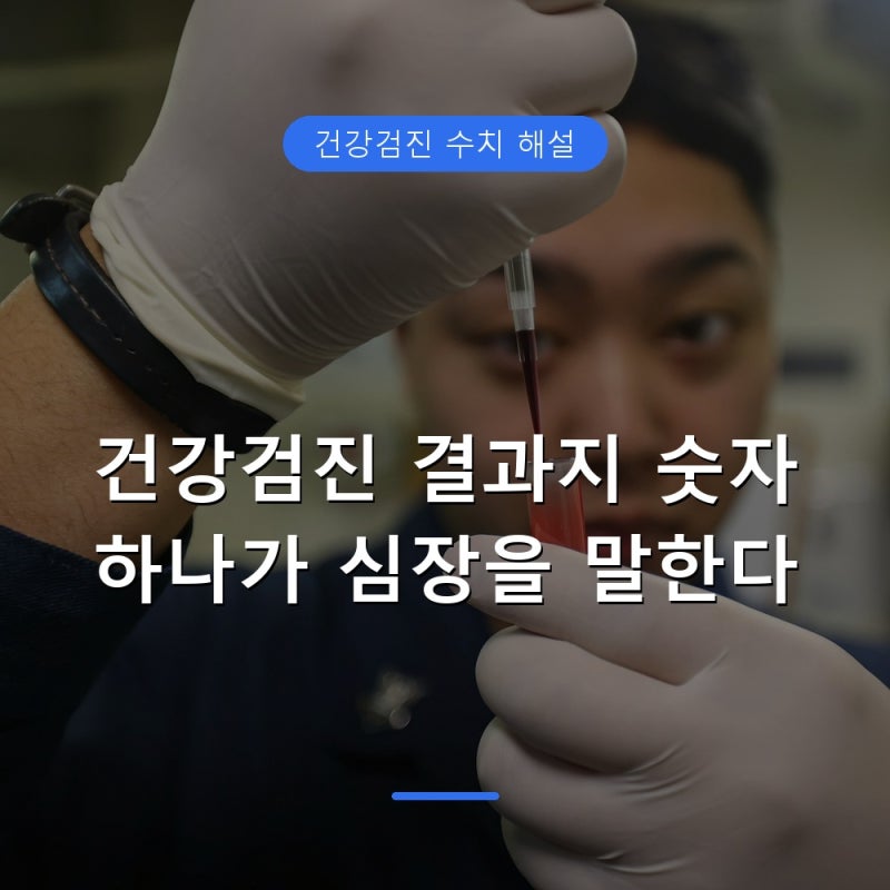 중성지방 수치 정상범위와 콜레스테롤 차이, 관리법