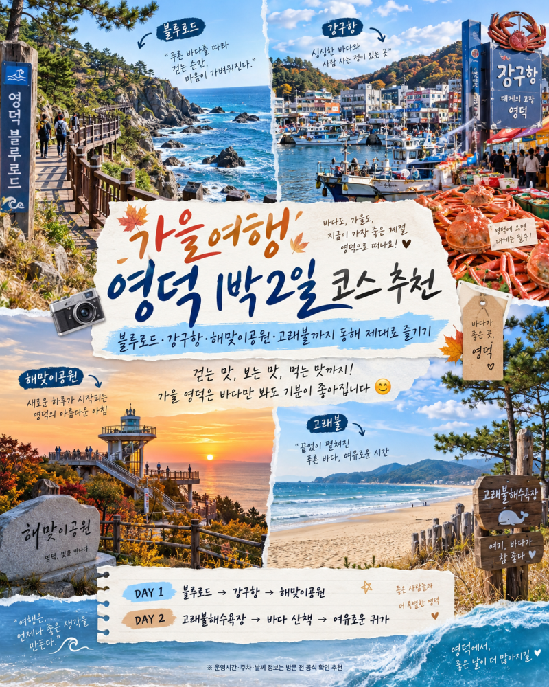 가을여행 영덕 1박2일 코스 추천｜블루로드·강구항·해맞이공원·고래불까지 동해 제대로 즐....