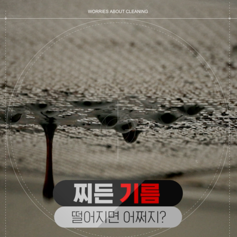 렌가드600 필터 주방 후드 고민 끝 직접 써본 솔직 사용기
