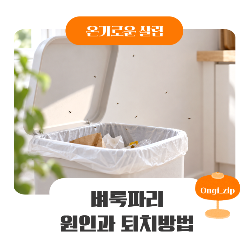 벼룩파리 원인과 퇴치법, 과일 치워도 계속 나온다면