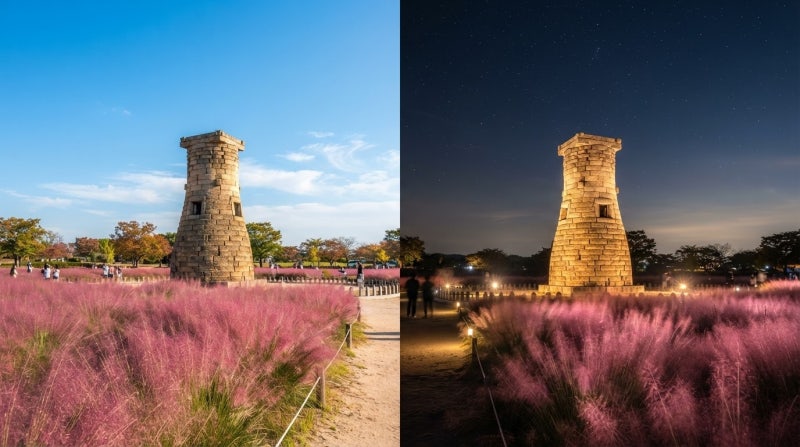 아직 안 가봤다면 꼭 가야 할 10월 경주 가을 여행지 첨성대 핑크뮬리