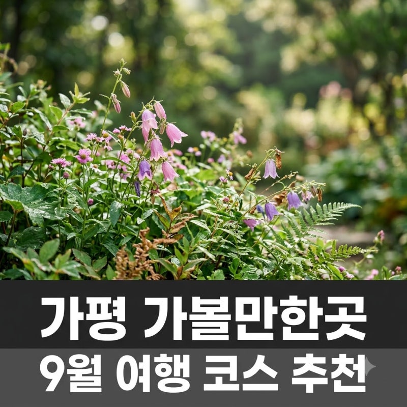 가평가볼만한곳 6곳 총정리, 아침고요수목원부터 맛집까지 추천