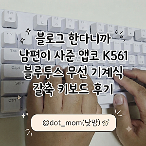 블로그 한다니까 남편이 사준 앱코 K561 블루투스 무선 기계식 갈축 키보드 후기
