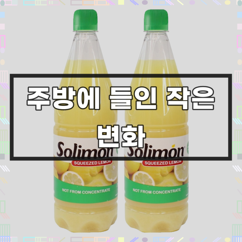솔리몬 스퀴즈드 레몬즙, 1L, 2개