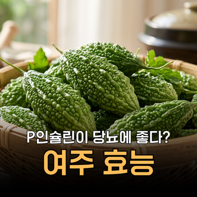 식후 혈당 잡는다? 여주 효능 부작용 차 환 즙 등 먹는법