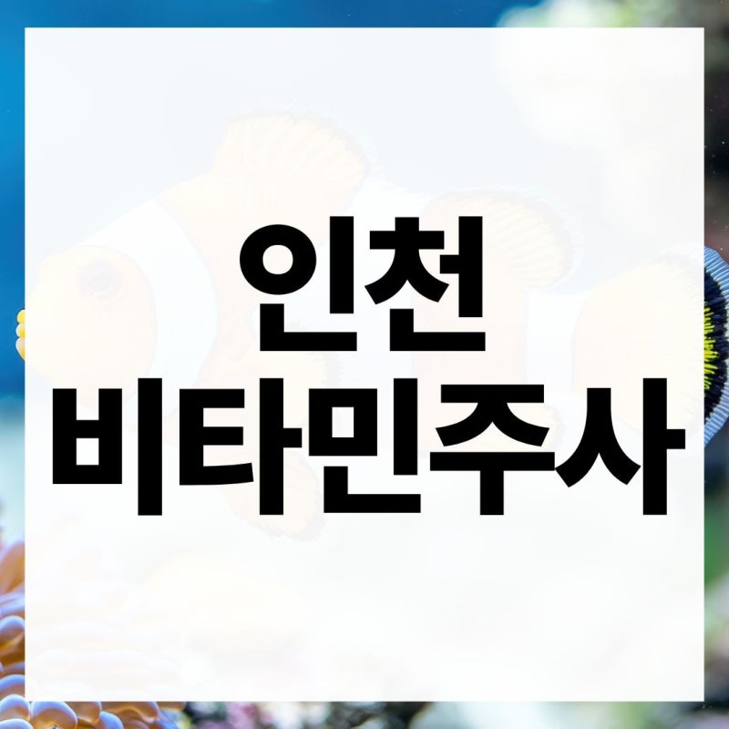 인천비타민주사 효과와 주기는 어떻게 정할까요
