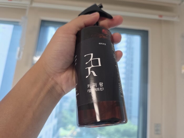 개미퇴치 약 집에 개미가 계속 보일 때 써본 방법