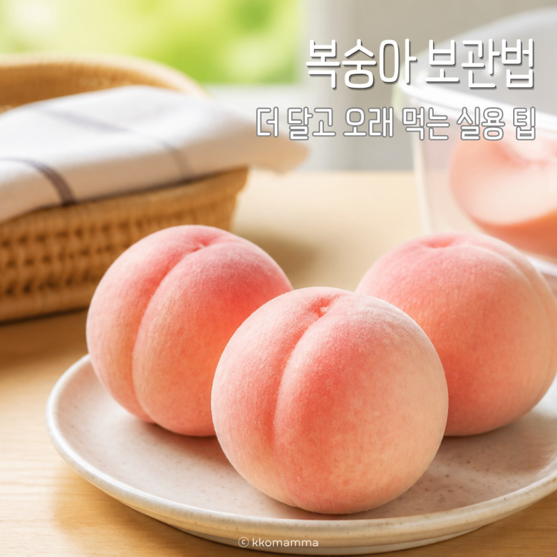 복숭아 보관법 냉장고에 바로 넣지 마세요 더 달고 오래 먹는 실용 팁