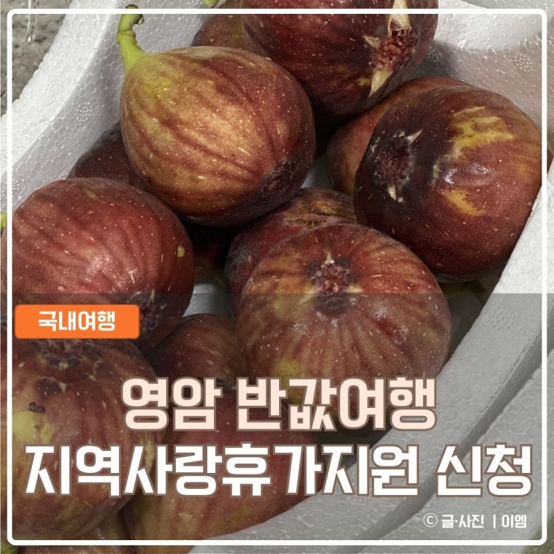 영암 반값 여행 신청 준비물 월출 페이 가입 디지털영암군민증