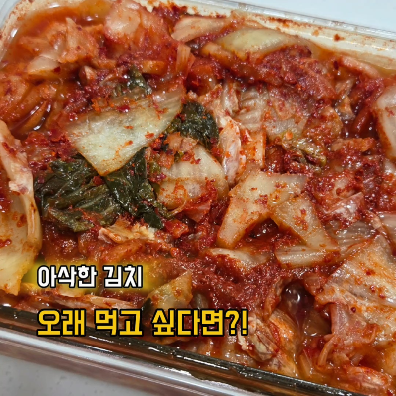 김치 덜 익게 보관하는 방법 빨리 익는 김치 숙성 늦추는 법