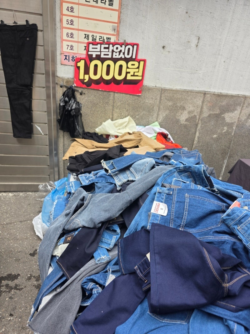 동대문 일요시장 쇼핑 후기｜구경하는 재미가 쏠쏠한 일요일 시장