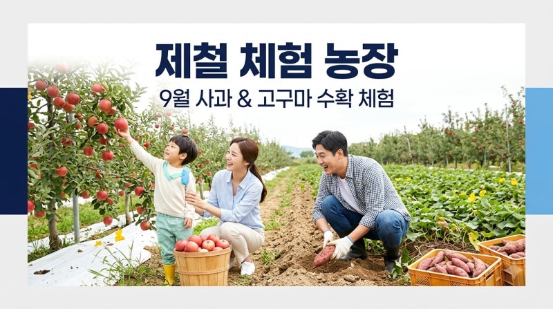 농장 체험｜9월 사과·고구마 수확, 딸기는 언제?