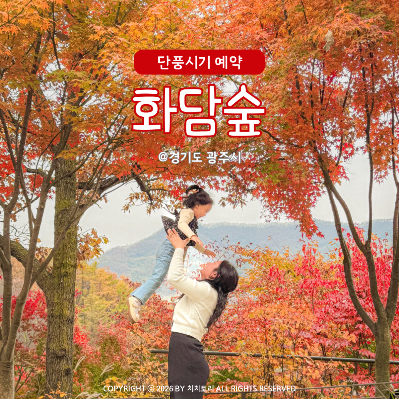 2026 화담숲 단풍시기 예약 총정리 예매 성공팁 이용요금 완벽 가이드