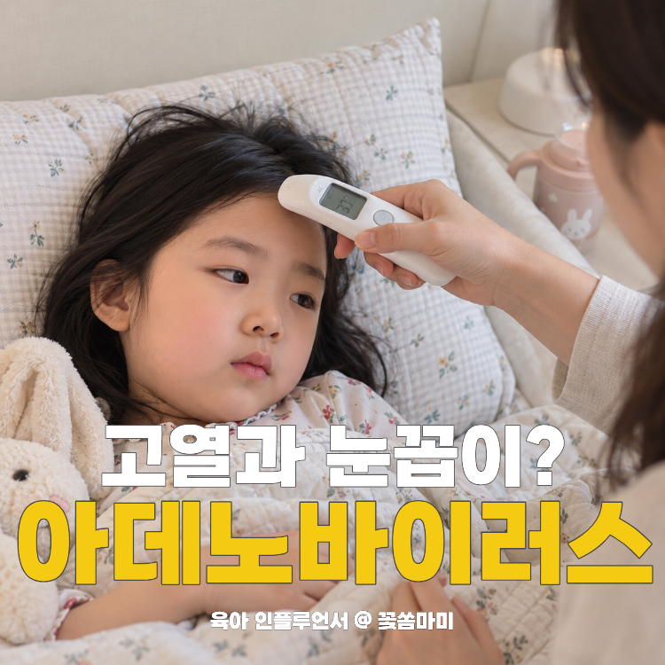 아데노바이러스 증상 고열. 결막염 나타났다면? 눈곱 감기 잠복기와 전염기간 정리