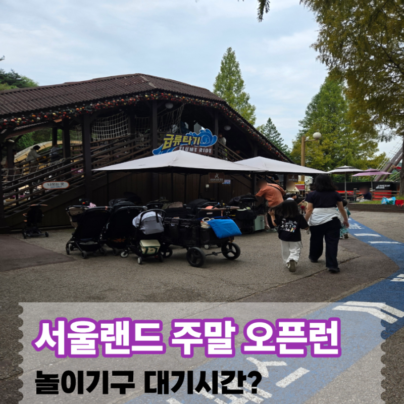서울랜드 토요일 주말 오픈런 후기｜T멤버십 1만5천원 특가·주차·인파·놀이기구 대기시간